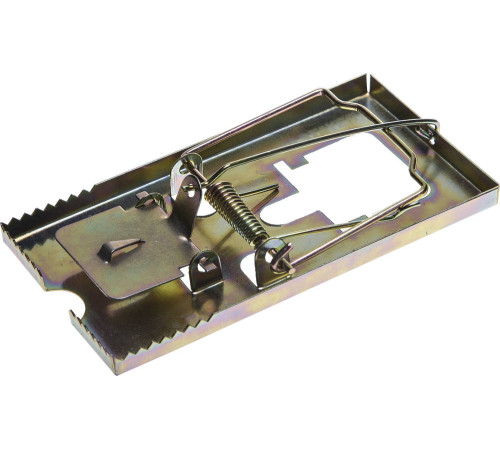 STAYER 115 х 60 мм, средняя, металлическая, мышеловка (40490-M) купить  в Сочи