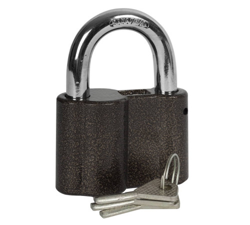 ЗУБР 80 мм, дисковый механизм секрета, навесной замок (3720) купить  в Сочи