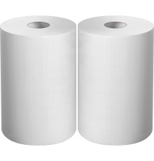 ЗУБР 20 х 25 см, 2-х слойная, в рулоне, 400 листов, 2 рулона, протирочная бумага, Профессионал (12822-20)