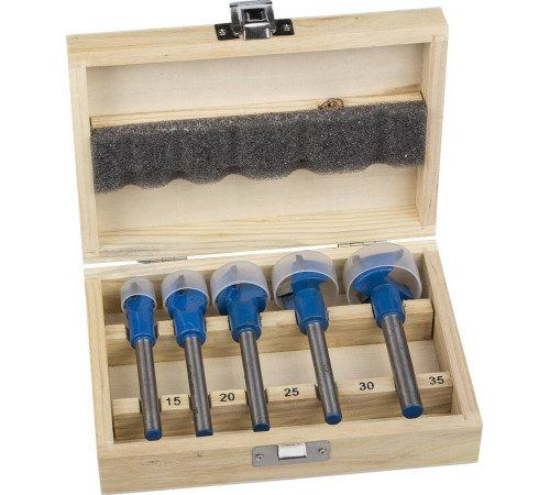 ЗУБР 5 шт: 15-20-25-30-35 мм, твердосплавные резцы, набор композитных сверл форстнера (29945-H5) купить  в Сочи