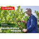 GRINDA GH-630, 630 мм, закаленные лезвия, антикор. покрытие, стальные рукоятки, кусторез (8-423551) купить в Сочи