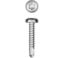 KRAFTOOL DS-P, 25 х 4.2 мм, А2, сверло, полукруглая головка, ТХ20, 400 шт, саморез нержавеющий (300931-42-025)