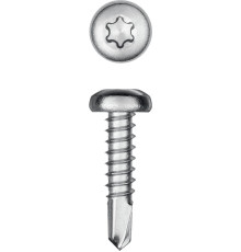 KRAFTOOL DS-P, 16 х 4.2 мм, А2, сверло, полукруглая головка, ТХ20, 500 шт, саморез нержавеющий (300931-42-016)