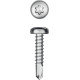 KRAFTOOL DS-P, 19 х 4.2 мм, А2, сверло, полукруглая головка, ТХ20, 450 шт, саморез нержавеющий (300931-42-019) купить в Сочи