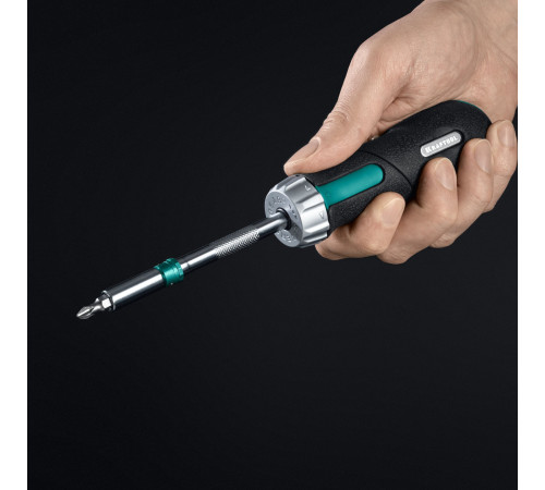 KRAFTOOL EXTREM набор: рычажная реверсивная отвертка с битами 6 шт (25899) купить  в Сочи