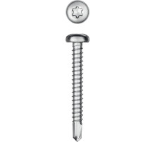 KRAFTOOL DS-P, 38 х 4.8 мм, А2, сверло, полукруглая головка, ТХ25, 200 шт, саморез нержавеющий (300931-48-038)
