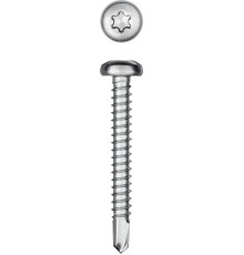 KRAFTOOL DS-P, 38 х 4.8 мм, А2, сверло, полукруглая головка, ТХ25, 200 шт, саморез нержавеющий (300931-48-038)