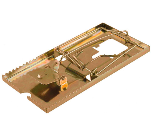 STAYER 155 х 85 мм, с металлическим основанием, крысоловка (40490-L) купить  в Сочи