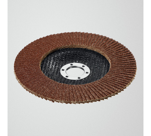 STAYER 125 х 22.2 мм, P60, КЛТ, Круг лепестковый торцевой, Professional (36581-125-060) купить  в Сочи