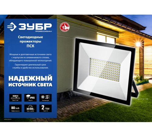 ЗУБР ПСК-30, 30 Вт, 6500 К, IP 65, светодиодный прожектор, Профессионал (57141-30) купить  в Сочи