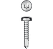 KRAFTOOL DS-P, 19 х 4.2 мм, А2, сверло, полукруглая головка, ТХ20, 450 шт, саморез нержавеющий (300931-42-019)