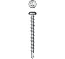 KRAFTOOL DS-P, 50 х 4.8 мм, А2, сверло, полукруглая головка, ТХ25, 150 шт, саморез нержавеющий (300931-48-050)