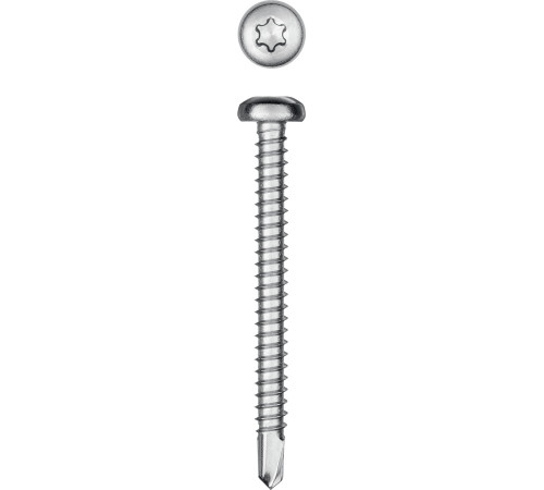 KRAFTOOL DS-P, 50 х 4.8 мм, А2, сверло, полукруглая головка, ТХ25, 150 шт, саморез нержавеющий (300931-48-050) купить  в Сочи