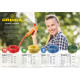 GRINDA Comfort, 1/2″, 30 м, 30 атм, трёхслойный, армированный, поливочный шланг (8-429003-1/2-30) купить в Сочи