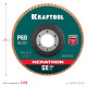 KRAFTOOL 125 х 22.2 мм, P60, круг лепестковый керамический торцевой по нержавеющей стали (36598-125-60) купить в Сочи