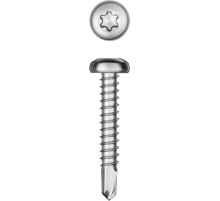 KRAFTOOL DS-P, 32 х 4.8 мм, А2, сверло, полукруглая головка, ТХ25, 250 шт, саморез нержавеющий (300931-48-032)