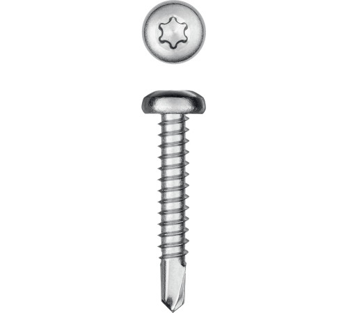 KRAFTOOL DS-P, 32 х 4.8 мм, А2, сверло, полукруглая головка, ТХ25, 250 шт, саморез нержавеющий (300931-48-032) купить  в Сочи