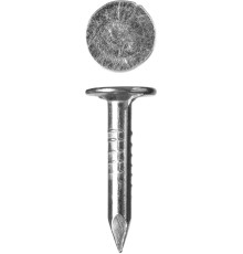 ЗУБР 20 x 3 мм, цинк, 5 кг, гвозди с большой потайной головкой (305090-30-020)