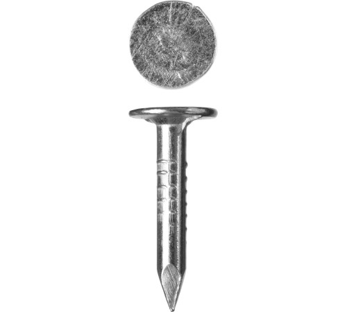 ЗУБР 20 x 3 мм, цинк, 5 кг, гвозди с большой потайной головкой (305090-30-020) купить  в Сочи