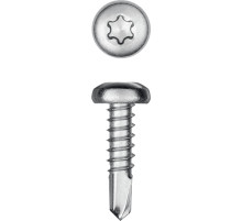 KRAFTOOL DS-P, 13 х 4.2 мм, А2, сверло, полукруглая головка, ТХ20, 600 шт, саморез нержавеющий (300931-42-013)