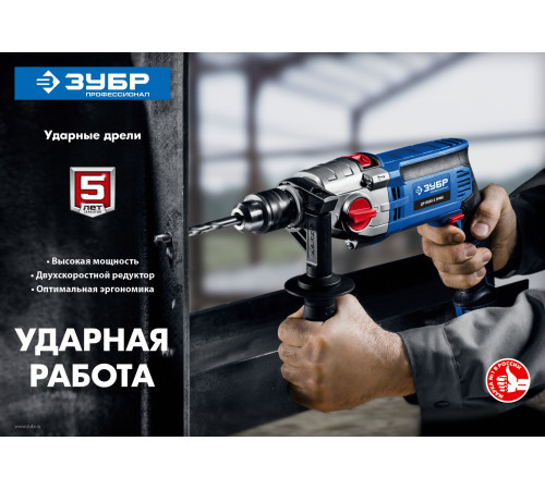 ЗУБР 850 Вт, 13 мм, 2 скорости, ударная дрель, мет. корпус, Профессионал (ДУ-П850 ЭРМ) купить в Сочи ЗУБР 850 Вт, 13 мм, 2 скорости, ударная дрель, мет. корпус, Профессионал (ДУ-П850 ЭРМ) купить в Сочи
