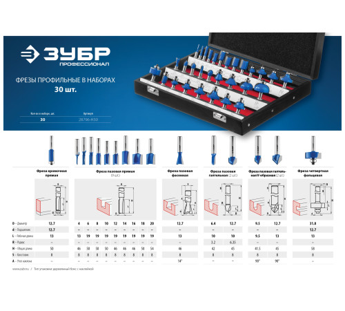 ЗУБР 30 шт, набор профильных фрез по дереву, Профессионал (28796-H30) купить  в Сочи