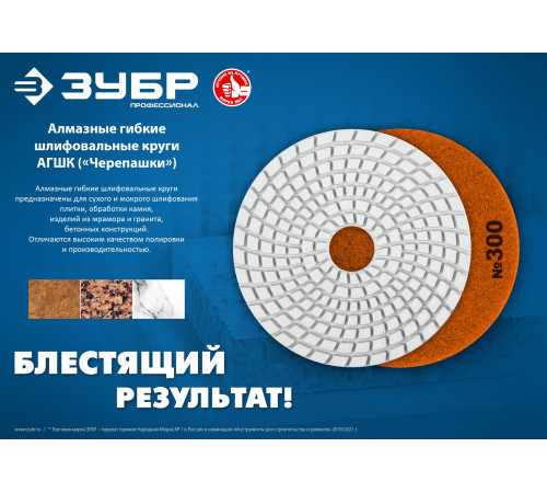 ЗУБР 100 мм, №600, сухое шлифование, алмазный гибкий шлифовальный круг АГШК, Профессионал (29868-600) купить  в Сочи