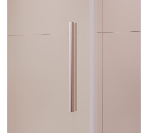 Душевая дверь RGW LE-12 (Прозрачное, 1200) купить  в Сочи