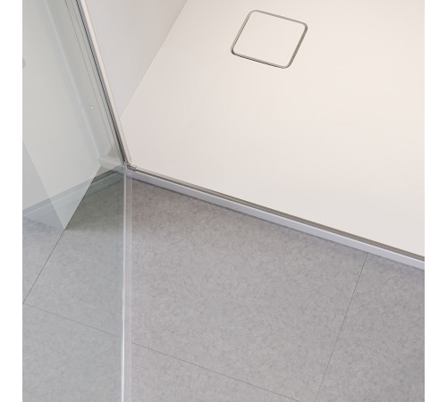 Душевая дверь RGW LE-008 (LE-003 + Z-09 + профиль A-14) (Прозрачное, 1400) купить  в Сочи