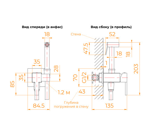 Гигиенический душ со смесителем RGW SP-212Gr купить в Сочи Гигиенический душ со смесителем RGW SP-212Gr купить в Сочи
