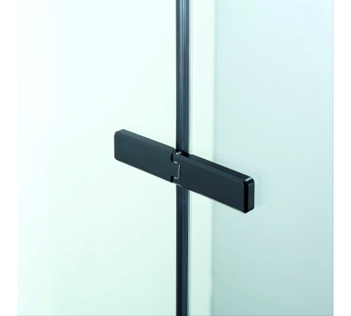 Душевой уголок с распашной дверью на петлях - RGW SV-040B (Прозрачное, 1200x1000) купить  в Сочи