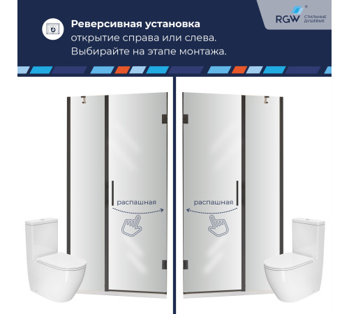 Душевая дверь RGW HO-012B (Прозрачное, 1000) купить  в Сочи