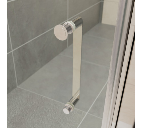 Душевая дверь RGW PA-14 (Прозрачное, 1700) купить  в Сочи