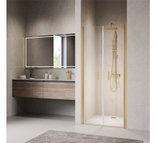 Душевая дверь RGW PA-104Gb (1200)