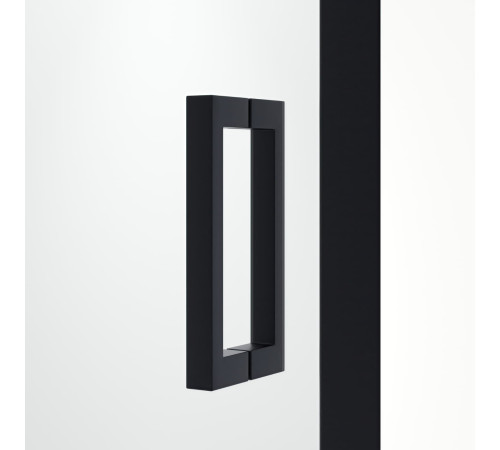 Душевая дверь RGW PA-016B (Прозрачное, 1700) купить  в Сочи