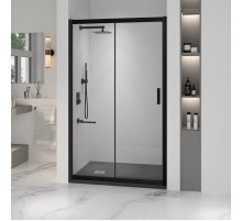 Душевая дверь RGW PA-016B (Прозрачное, 1600)
