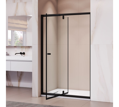 Душевая дверь RGW PA-02B NEW (Прозрачное, 1000) купить  в Сочи