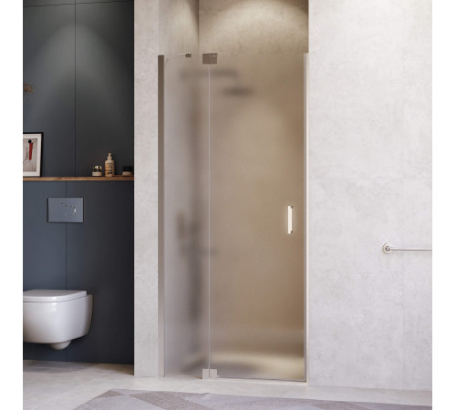 Душевая дверь RGW HO-014 (Матовое-Сатинат, 1000) купить  в Сочи