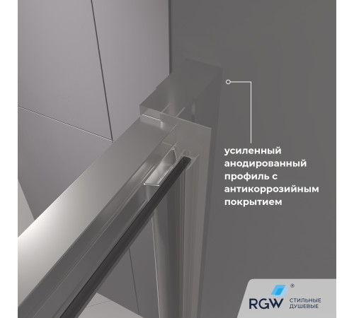 Душевая дверь RGW CL-111 (Прозрачное, 1200) купить  в Сочи