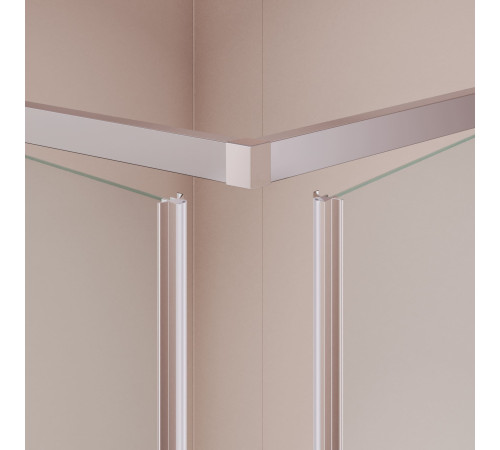 Душевой уголок RGW PA-38 (Прозрачное, 1000x1000) купить  в Сочи