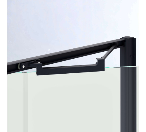 Душевая дверь RGW SV-05B (Рисунок - черный принт, 1000) купить  в Сочи