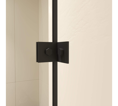 Душевой уголок RGW CL-046B (Матовое-Сатинат, 1000x900) купить  в Сочи