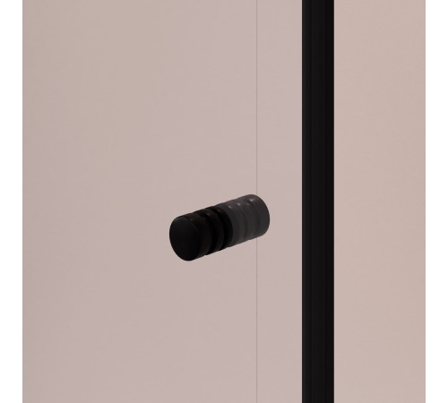 Душевая дверь RGW PA-02B NEW (Прозрачное, 1200) купить  в Сочи