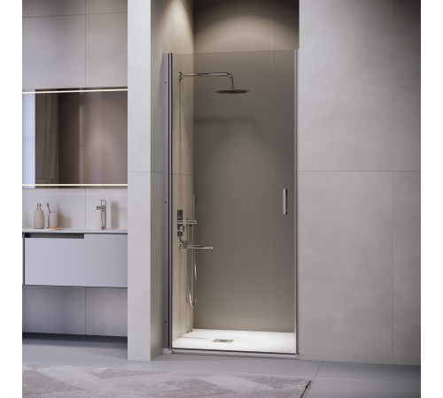 Душевая дверь RGW LE-003Gr (Прозрачное, 900) купить  в Сочи