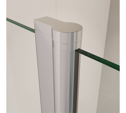 Душевая дверь RGW LE-009 (LE-004 + Z-09+профиль A-14) (Прозрачное, 1800) купить  в Сочи