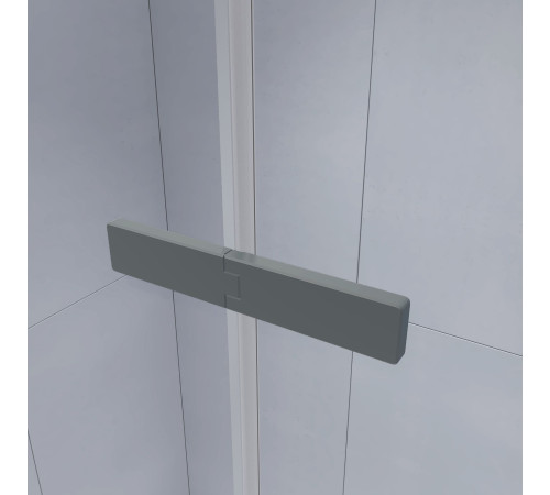 Душевой уголок с распашной дверью на петлях - RGW SV-040Gr (Прозрачное, 1600x1000) купить  в Сочи