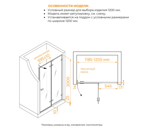 Душевая дверь RGW SV-004 (Матовое-Сатинат, 1200) купить  в Сочи