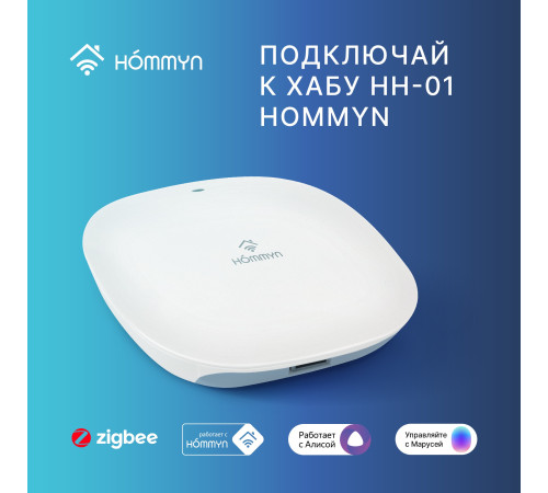 Розетка умная HOMMYN Smart Plug RKNZ01 купить в Сочи Розетка умная HOMMYN Smart Plug RKNZ01 купить в Сочи