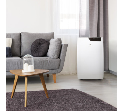 Кондиционер мобильный Electrolux Bliss Art EACM-12 GT/N6 купить в Сочи Кондиционер мобильный Electrolux Bliss Art EACM-12 GT/N6 купить в Сочи