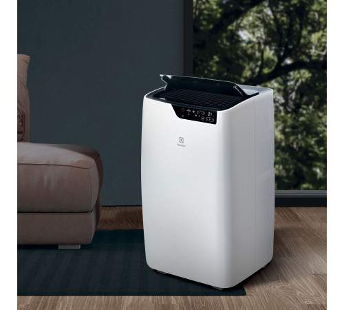 Кондиционер мобильный Electrolux Bliss Art EACM-12 GT/N6 купить в Сочи Кондиционер мобильный Electrolux Bliss Art EACM-12 GT/N6 купить в Сочи